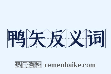 鸭矢反义词是什么意思的图片